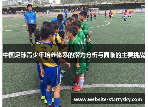 中国足球青少年培养体系的潜力分析与面临的主要挑战